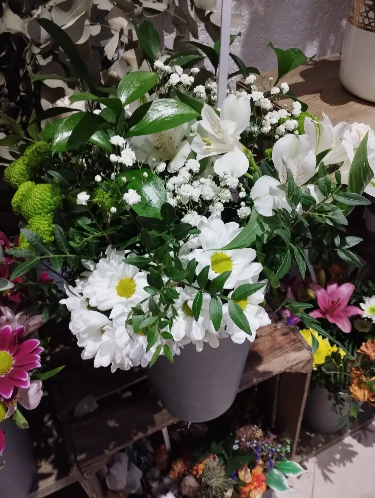 fleuriste à Portiragnes