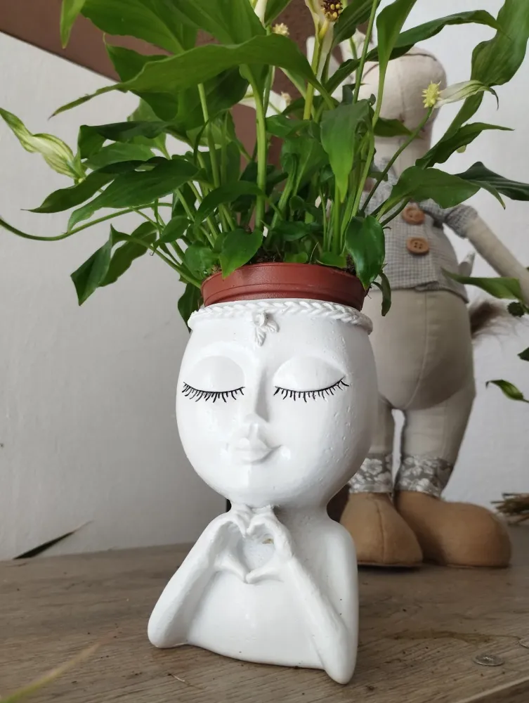plante à Portiragnes